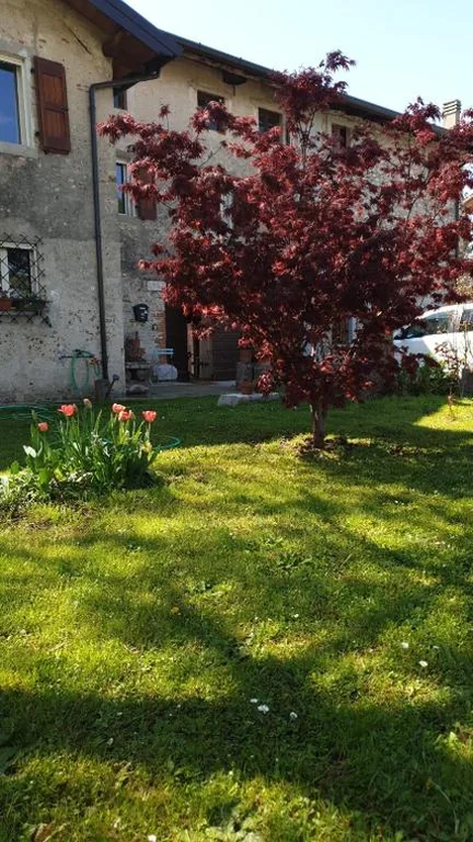 B&B Karin – Rooms & Breakfast — foto 7