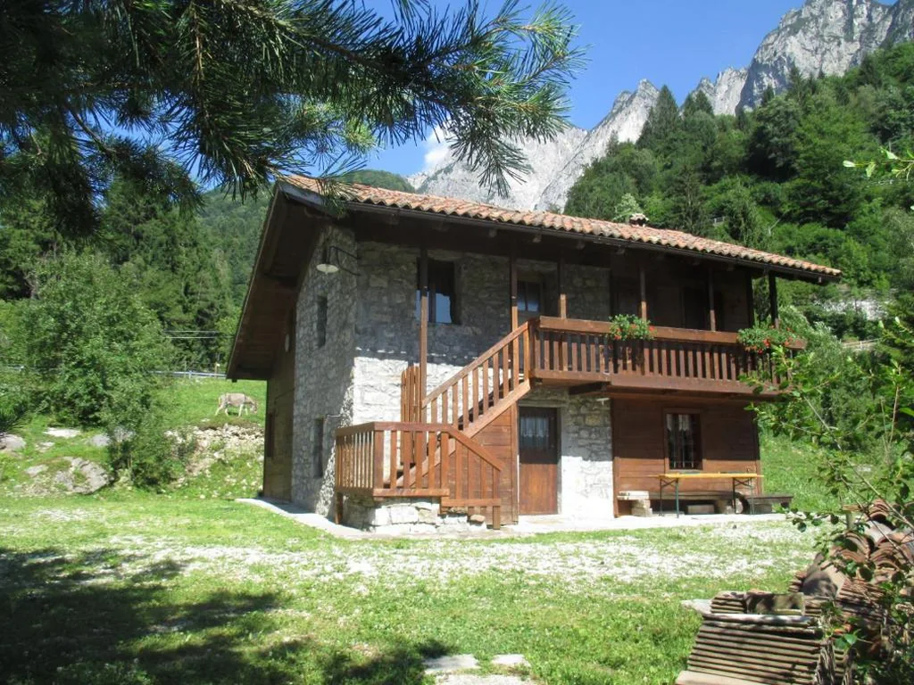 B&B l’Asinello Rampante — foto 4