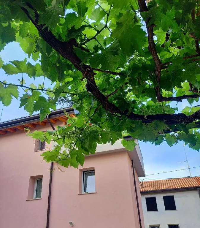 B&B La dolce Vite — foto 5