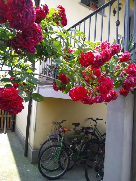 B&B NONO TILIO — foto 5
