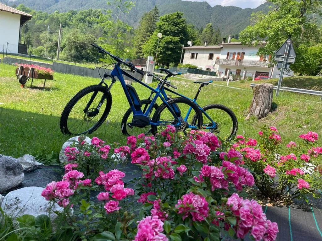 B&B Stari Mlin – Vecchio Mulino — foto 7