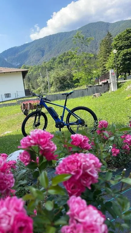 B&B Stari Mlin – Vecchio Mulino — foto 8