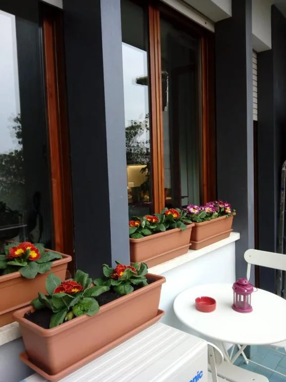 B&B Xenia — foto 5