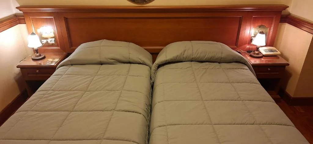 Camera Doppia con Letti Singoli — Hotel Minerva