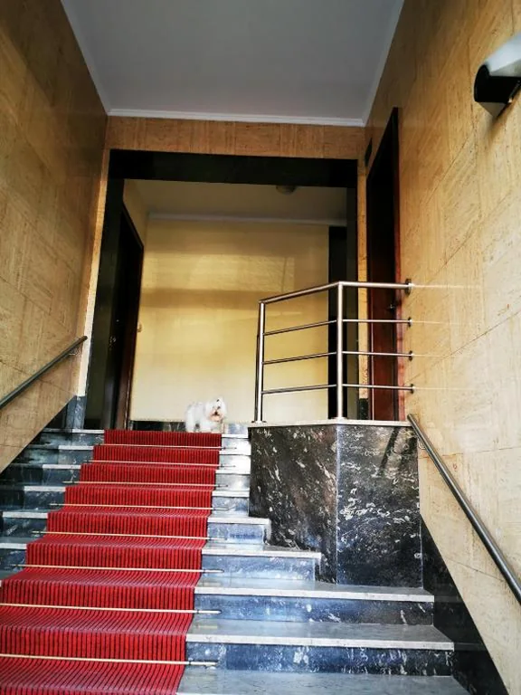 Double Room with Private External Bathroom — MURAT OTTO