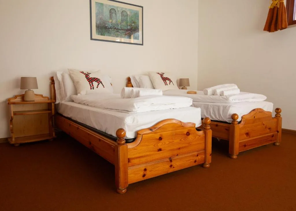 Camera Matrimoniale/Doppia con Letti Singoli con Vista Montagna — Bike & Bikers Hotel