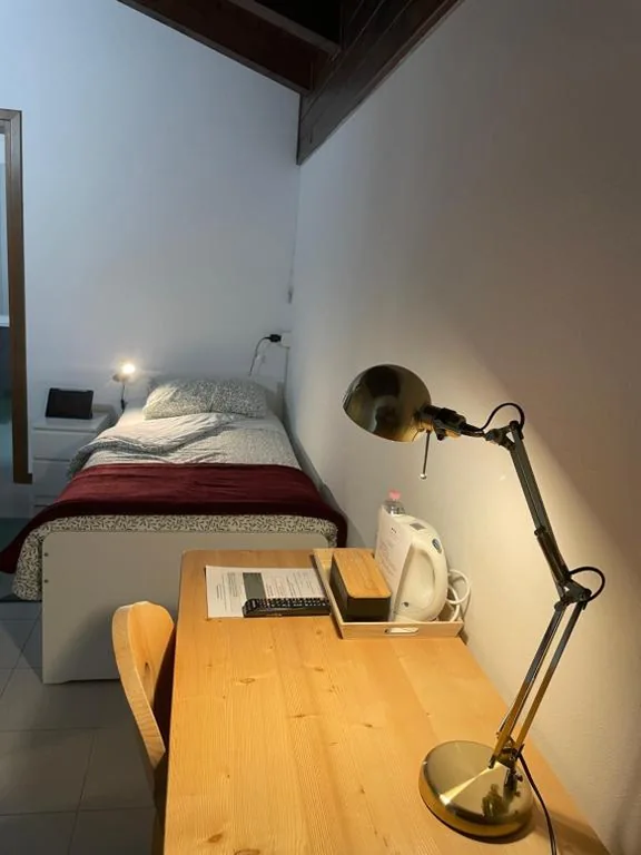Camera Singola con Bagno Privato — B&B Stari Mlin – Vecchio Mulino
