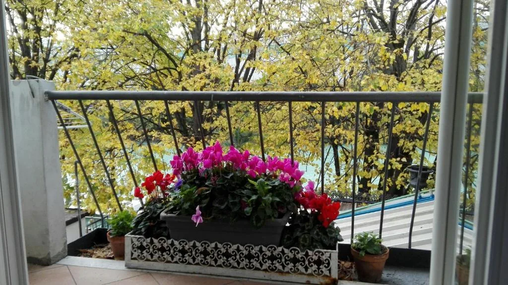 Deluxe Single Room with Balcony — Villa Fiorita