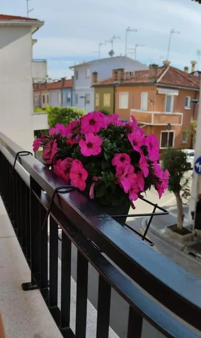 Casa Angelina — foto 8