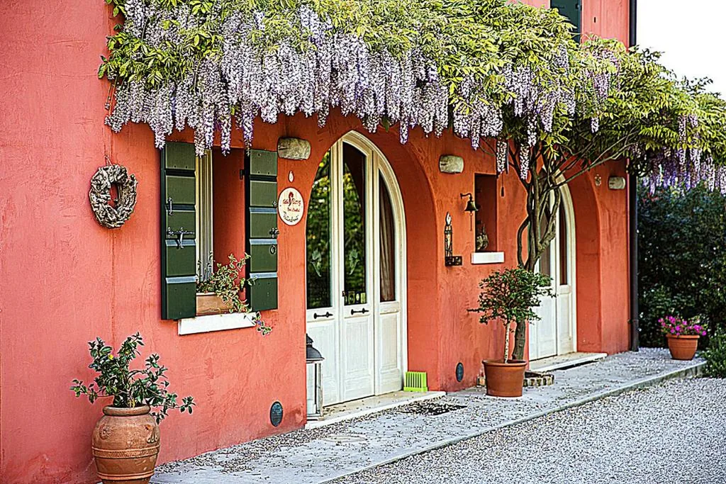 Casa Carrer B&B — foto 6