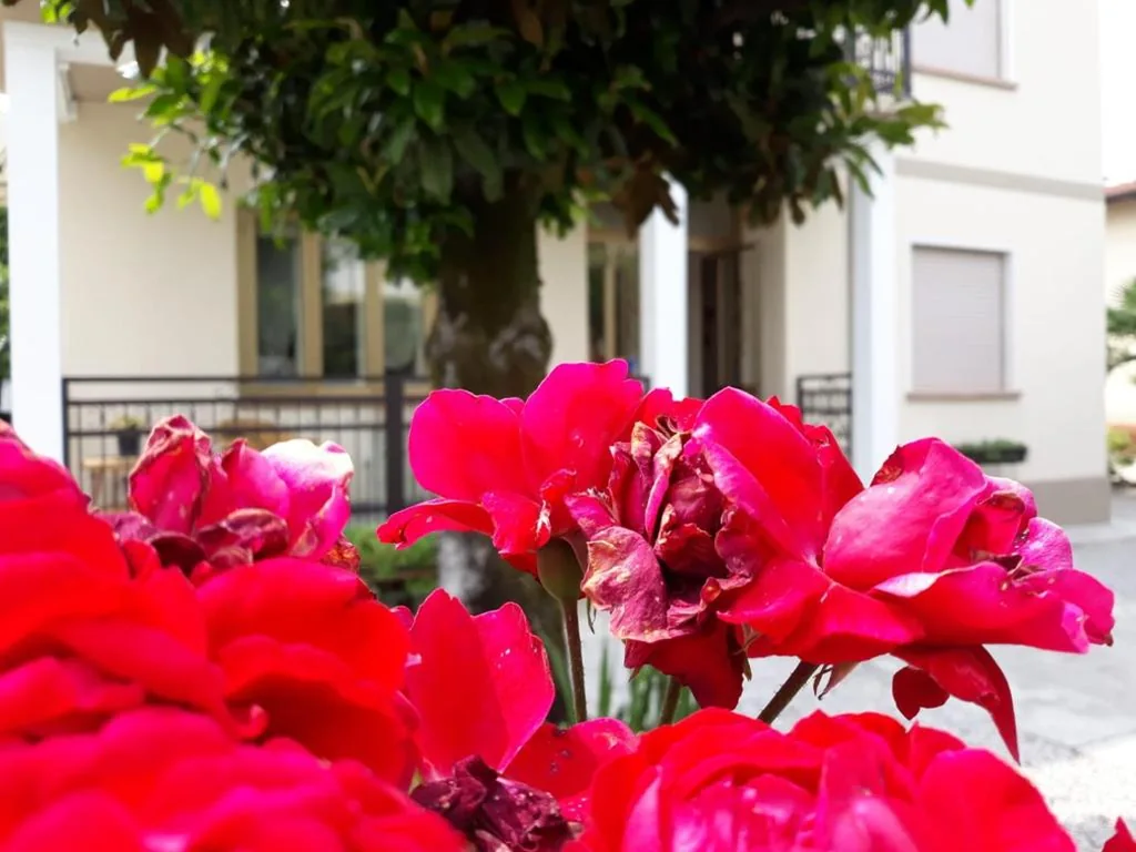 CASA ROMAN ITALIA, Center Sacile — foto 6