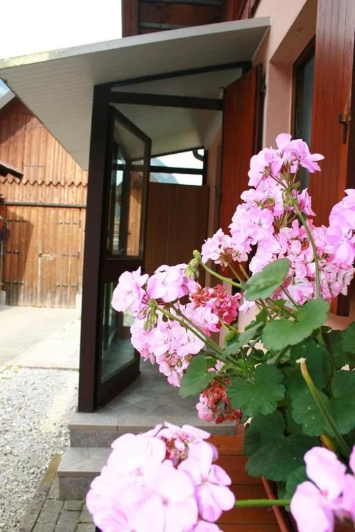 Casa Vacanze — Casetta Alex Desiree