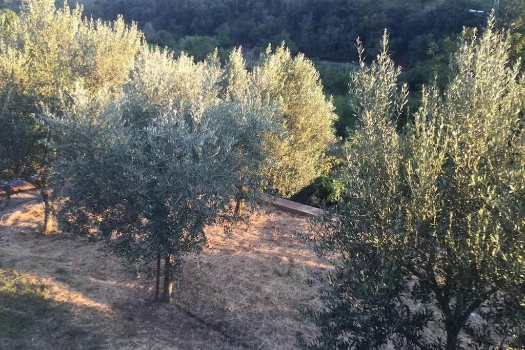 Casetta Helena — foto 6