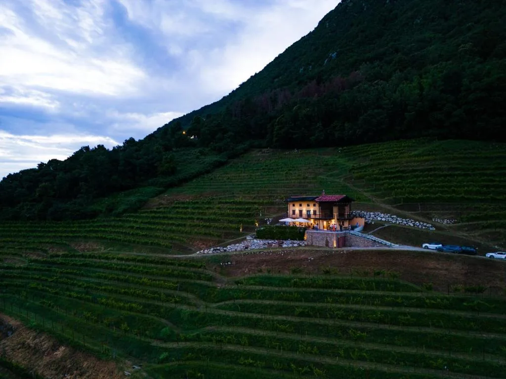 Dario Coos srl – Azienda vinicola