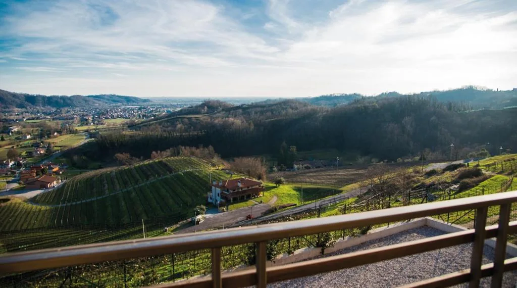 Dario Coos srl – Azienda vinicola — foto 5