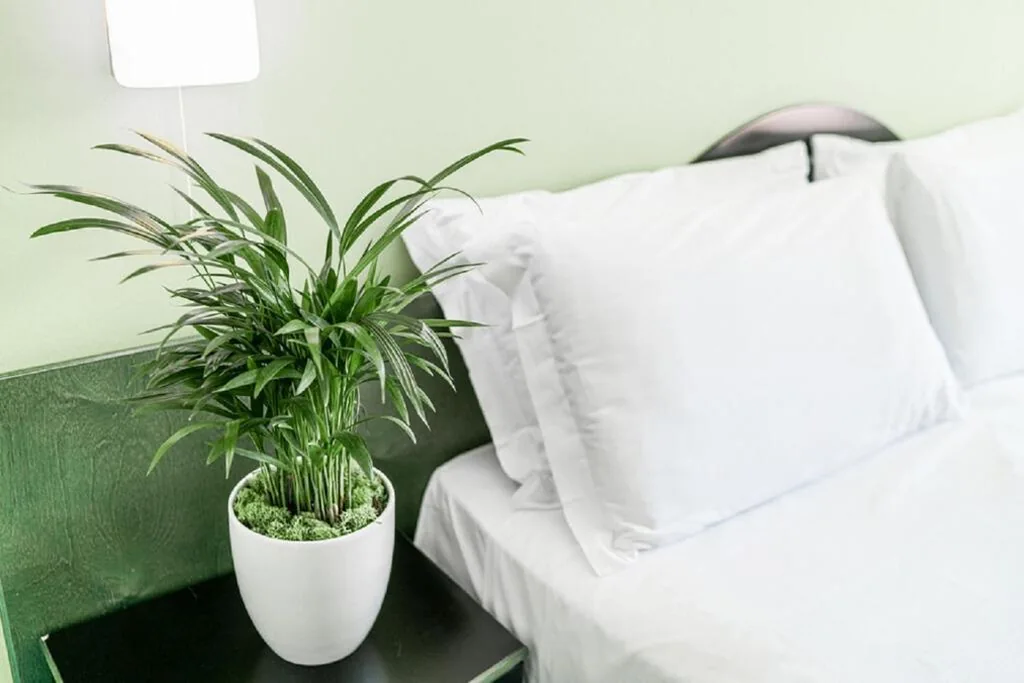 Two Interconnecting Rooms (4-7 People) — Hotel Medusa Splendid