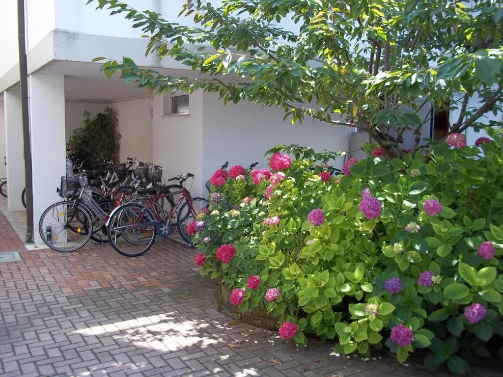 Hotel Meublè Villa Patrizia — foto 5