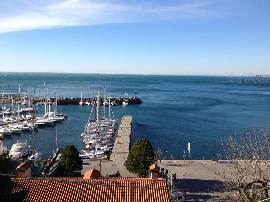 Hotel Mignon — foto 8