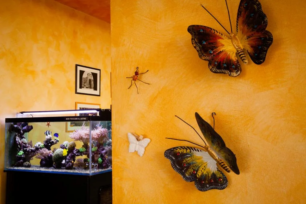 Hotel STELLA D’ORO — foto 5