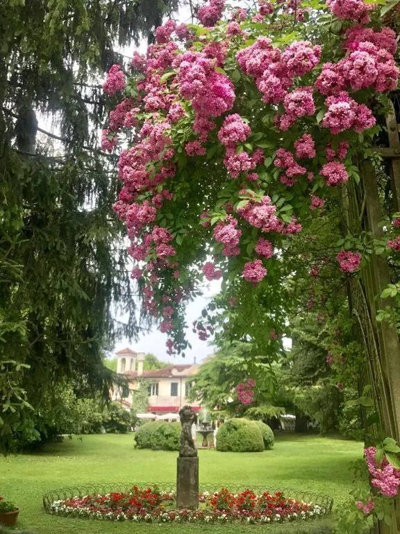 Hotel Villa Luppis — foto 5