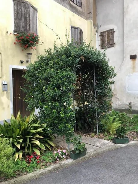 Il Casale del Miele — foto 5