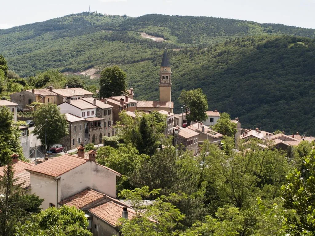 Il Glicine — foto 5