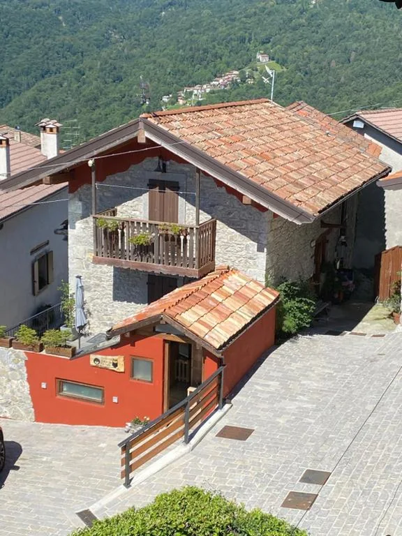 Il Riccio E Il Gufo — foto 7