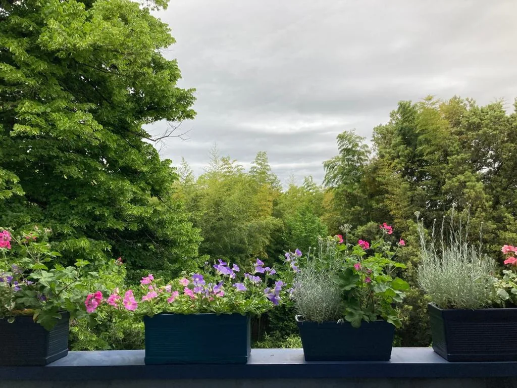 La Casa Blu di Monasteto — foto 8