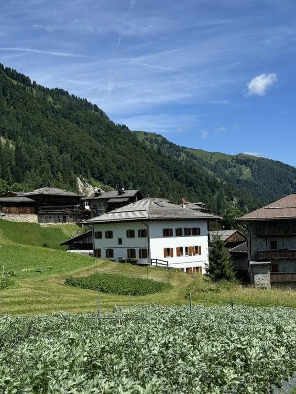 Neider Hotel – Alpine Retreat Sauris — foto 6