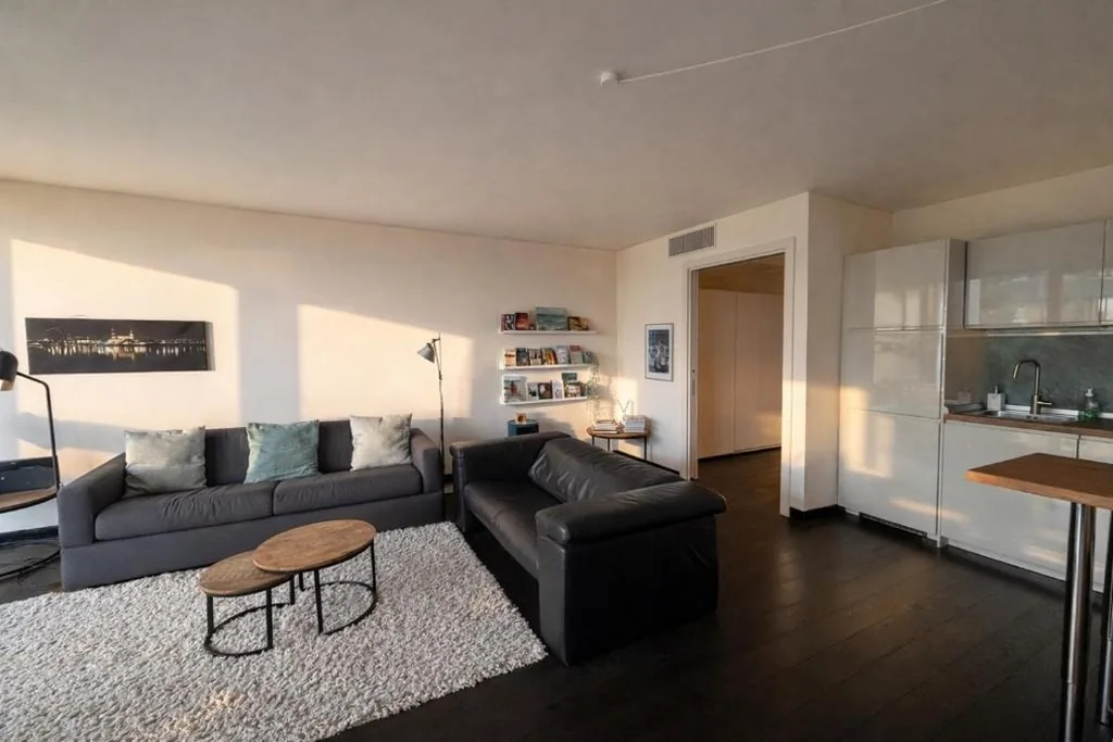 Panorama Apartment — foto 5