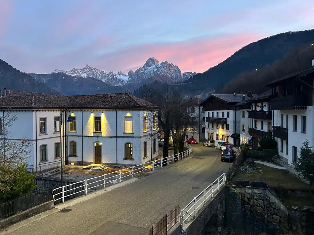 Stella Alpina — foto 5