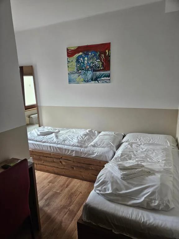 Twin Room with separate beds — Hotel Tarvisio Four Seasons