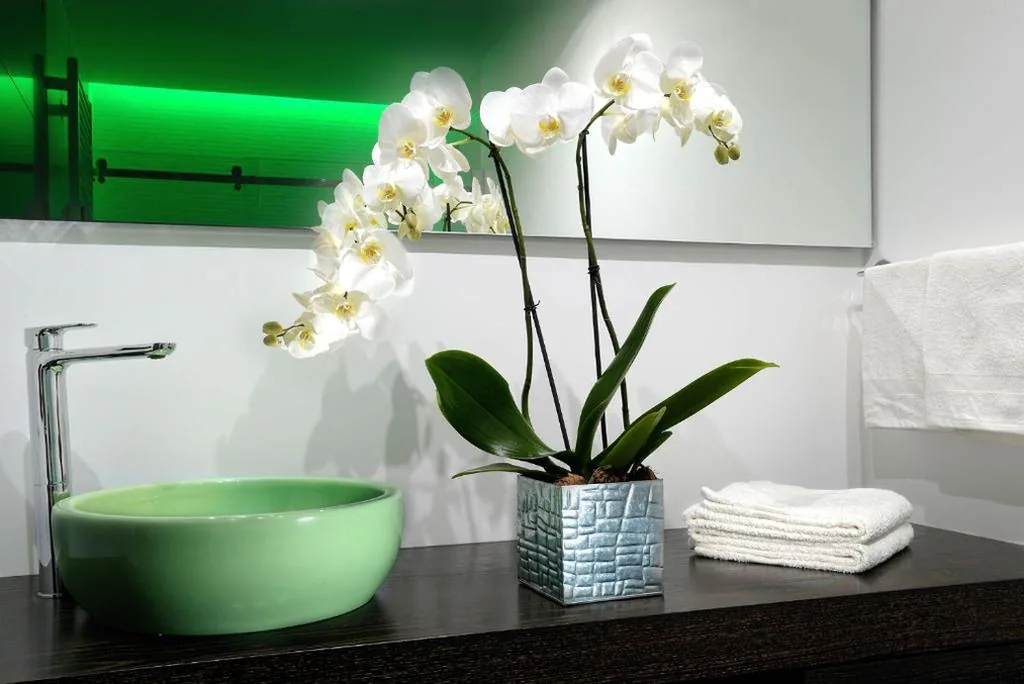 Urban Trend – Guest House — foto 7