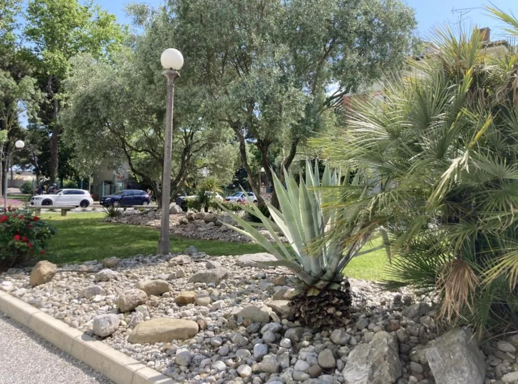 Villa Lisa – La quiete e il profumo del mare — foto 8