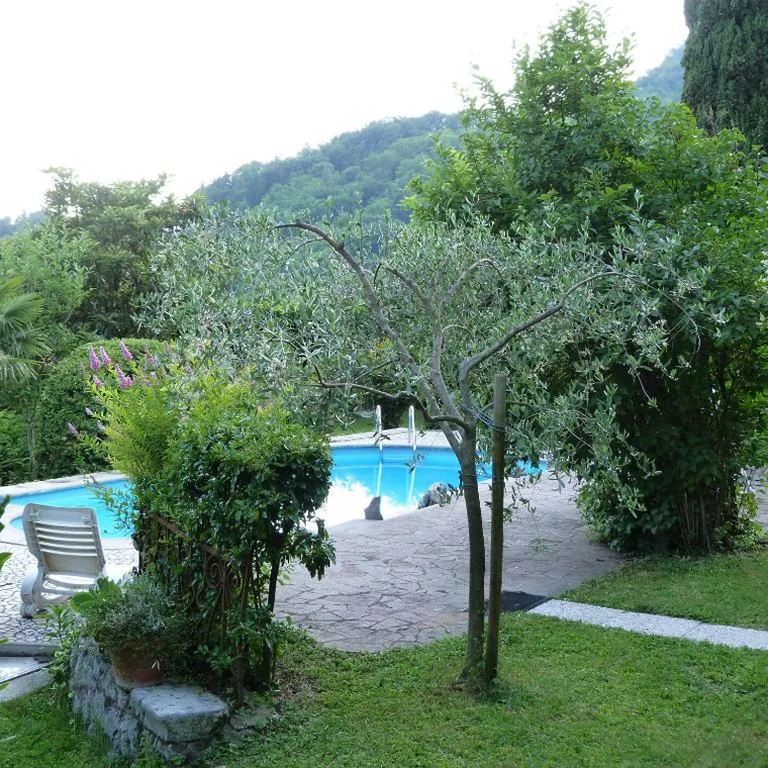 Villa Margherita — foto 4