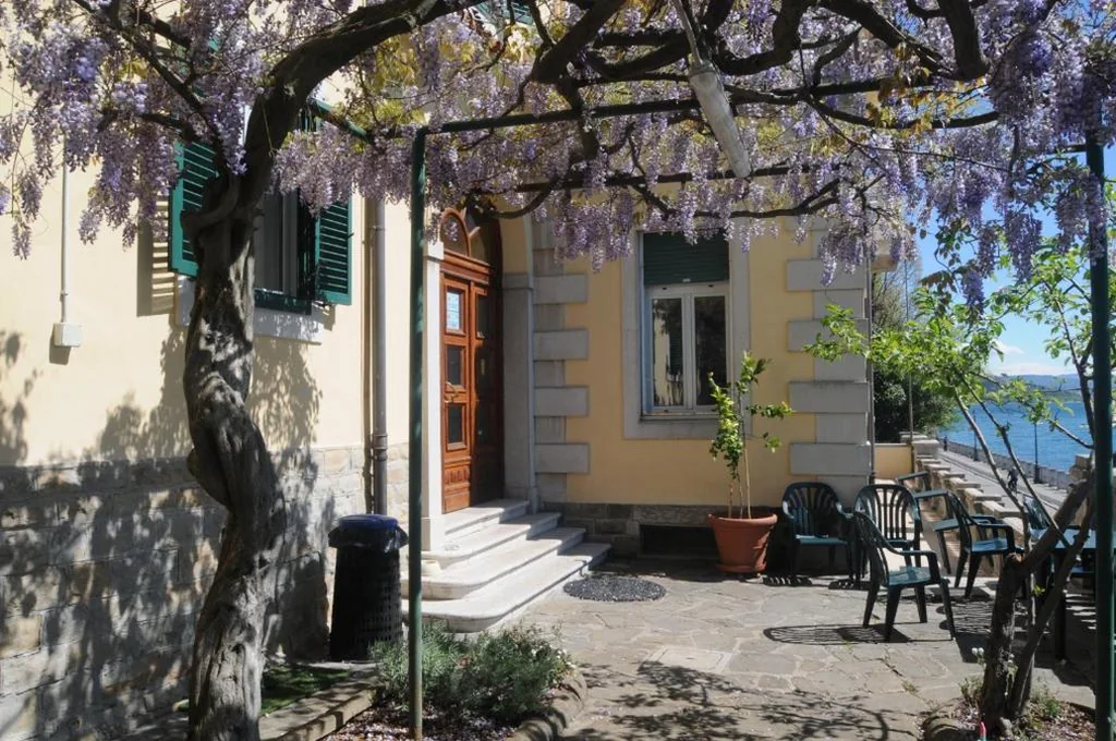 Villa Tergeste — foto 8