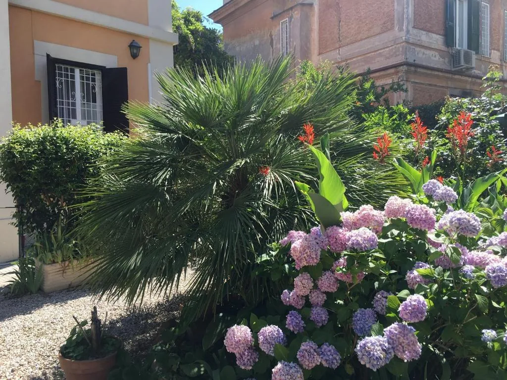 Gianicolo Penny’s Garden a Roma centro — foto 8