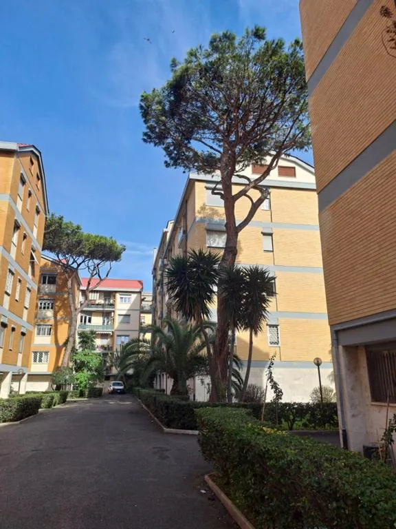 Gold Sunshine srls Guest House o Affittacamere — foto 6
