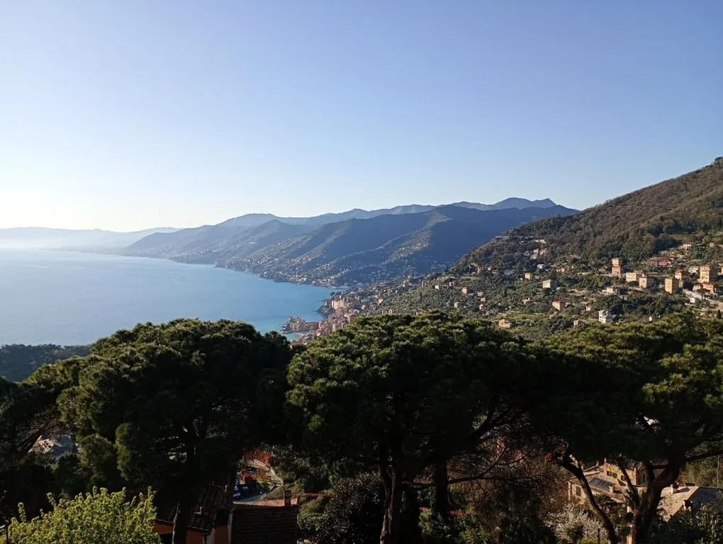 Golfo Paradiso