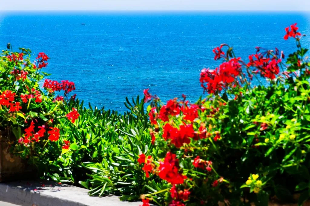 Grande Albergo Miramare — foto 7