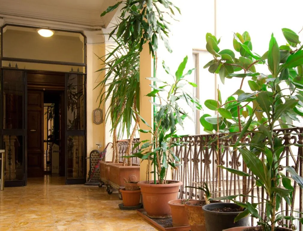 Guesthouse Borromeo Roma — foto 6