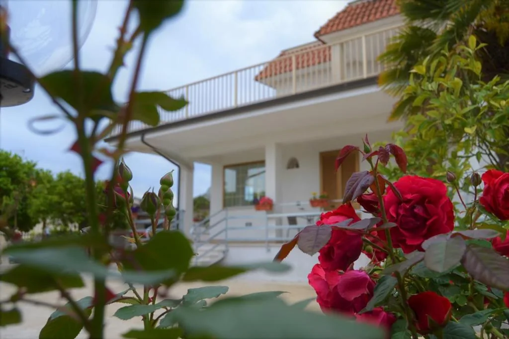 Guesthouse Holiday Formia beach — foto 3