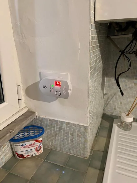Home Rent Mancini — foto 7