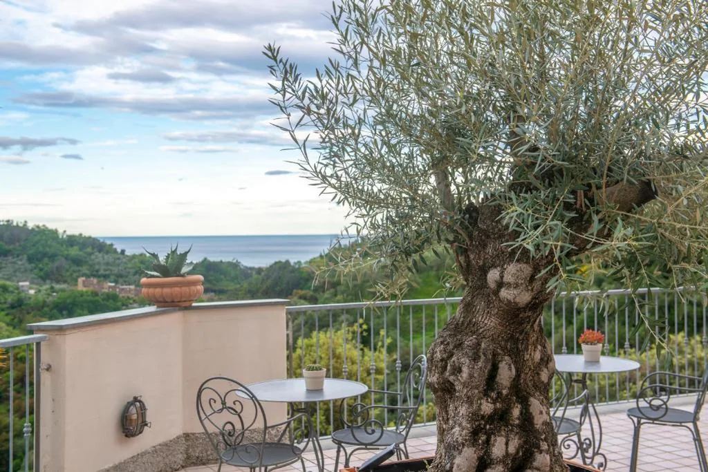 Hotel Al Terra Di Mare — foto 5