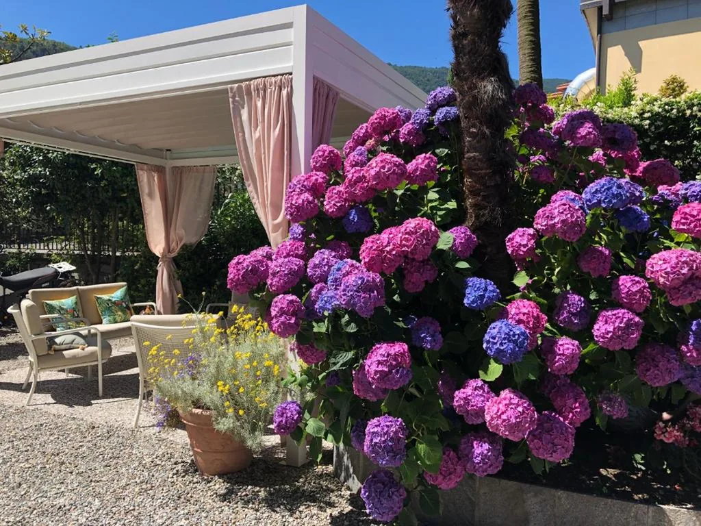 Hotel Antica Stallera — foto 8