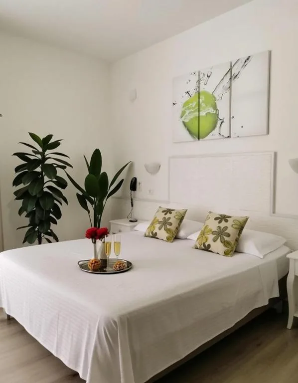 Hotel Birillo