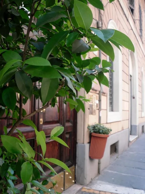 Hotel Castelfidardo — foto 5