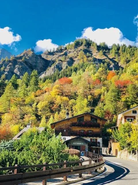 Hotel Chalet Joli — foto 8