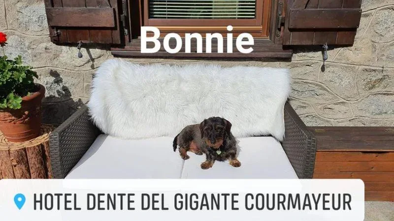 Hotel Dente Del Gigante — foto 7