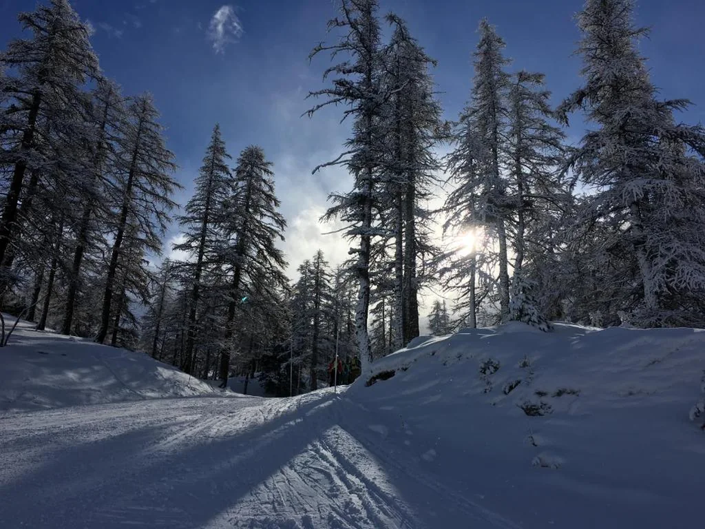 Hotel Des Alpes — foto 5